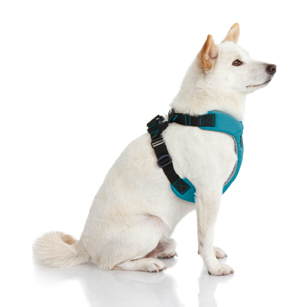 Convertible Z Harness (#04204) - Image 6