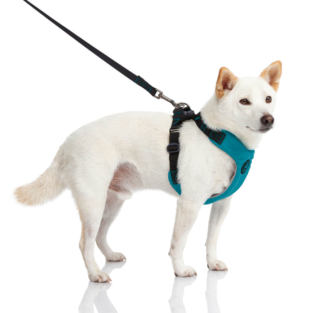 Convertible Z Harness (#04204) - Image 8