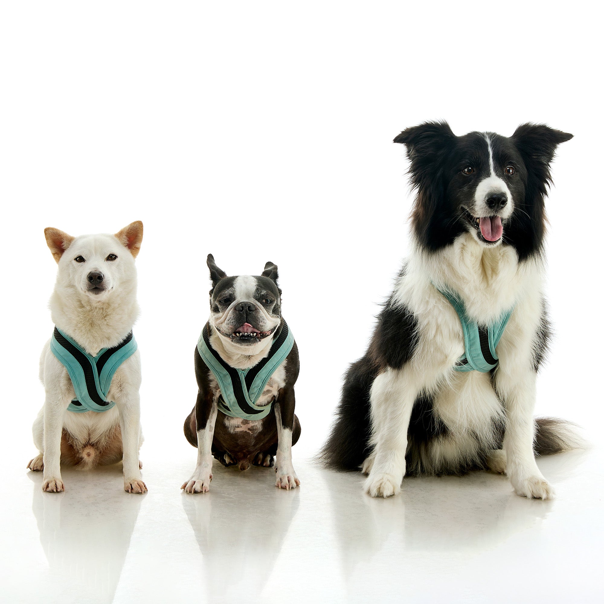 Escape Free® Comfort X One (#04231) - Image 14