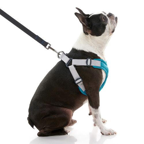 Memory Foam Step-In Harness (#04201) - Image 4