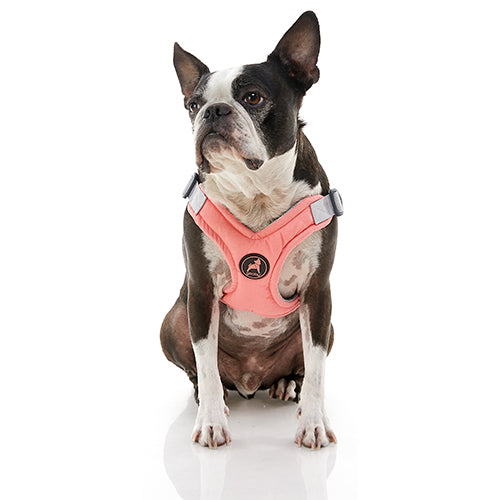 Memory Foam Step-In Harness (#04201) - Image 5