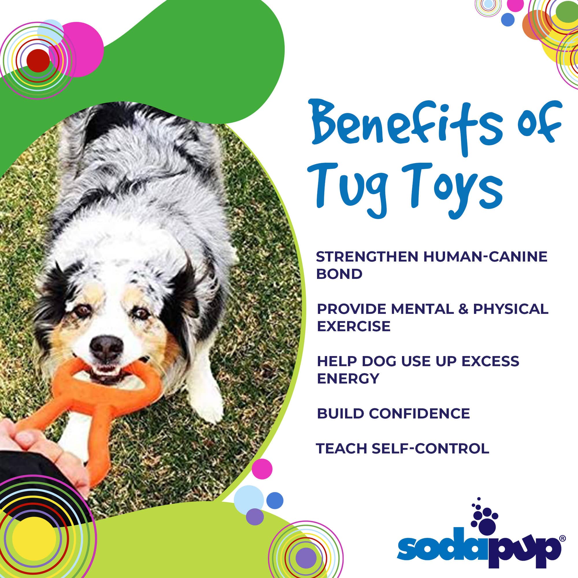 SodaPup Pop Top Rubber Tug Toy Interactive Play | Heavy Chewers USA Made