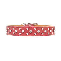 Tuscan - Crystallized Collars w/ Crystals - Image 92
