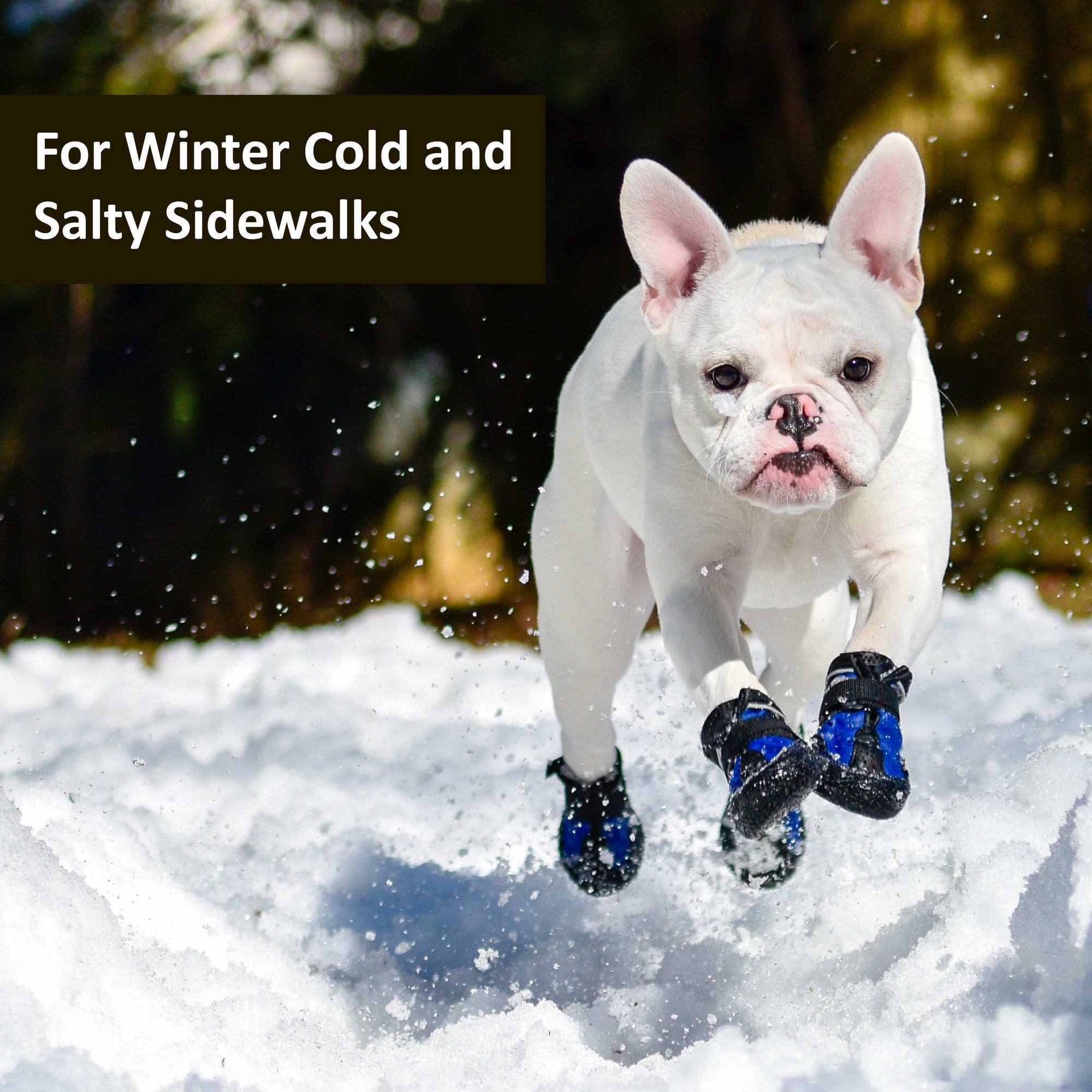 Snow Mushers - Image 10