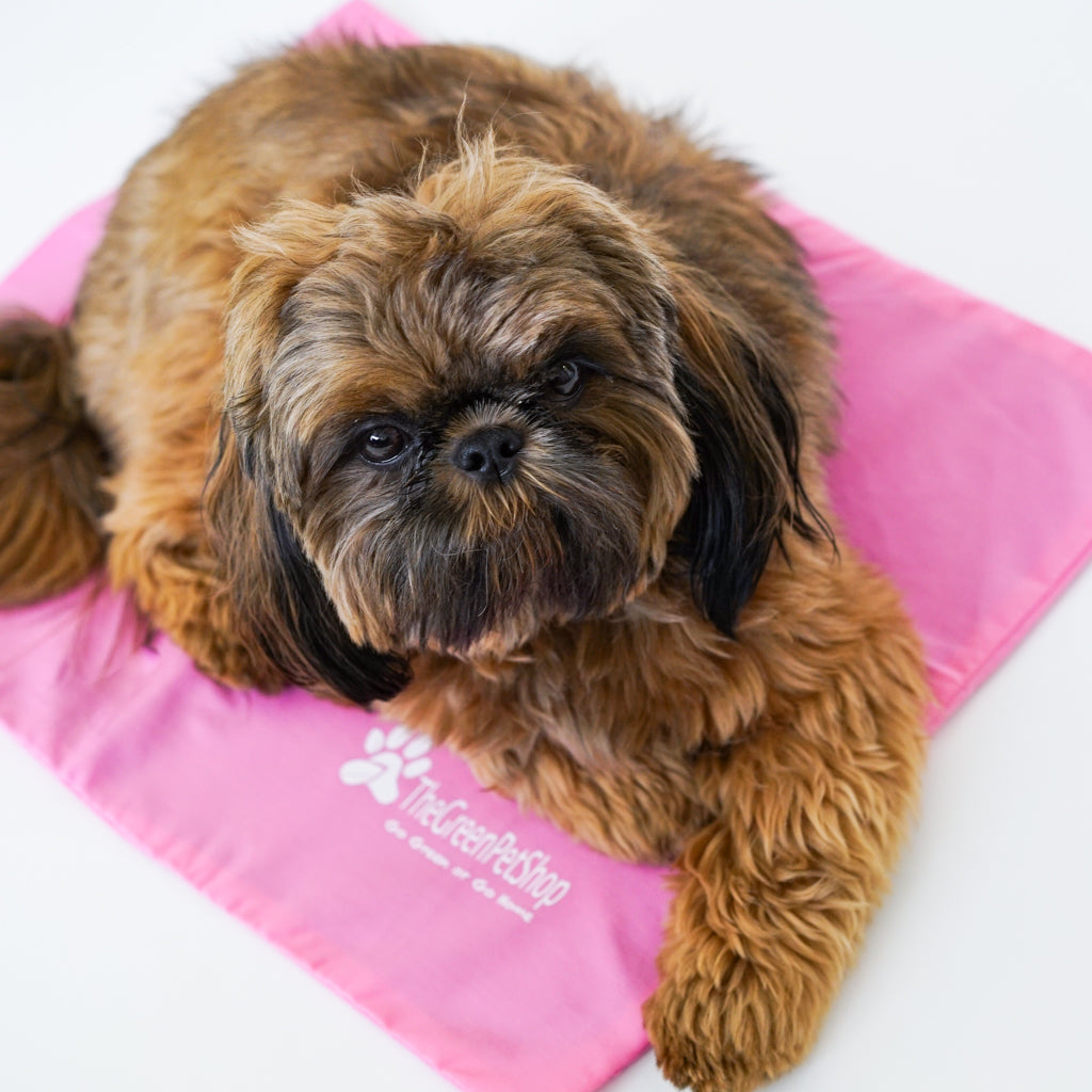 Cool Pet Pad Cover Clearance - Image 2
