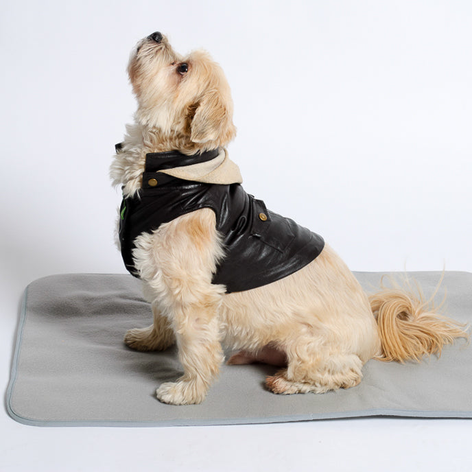 Thera-Pawz Warming Pad - Image 2