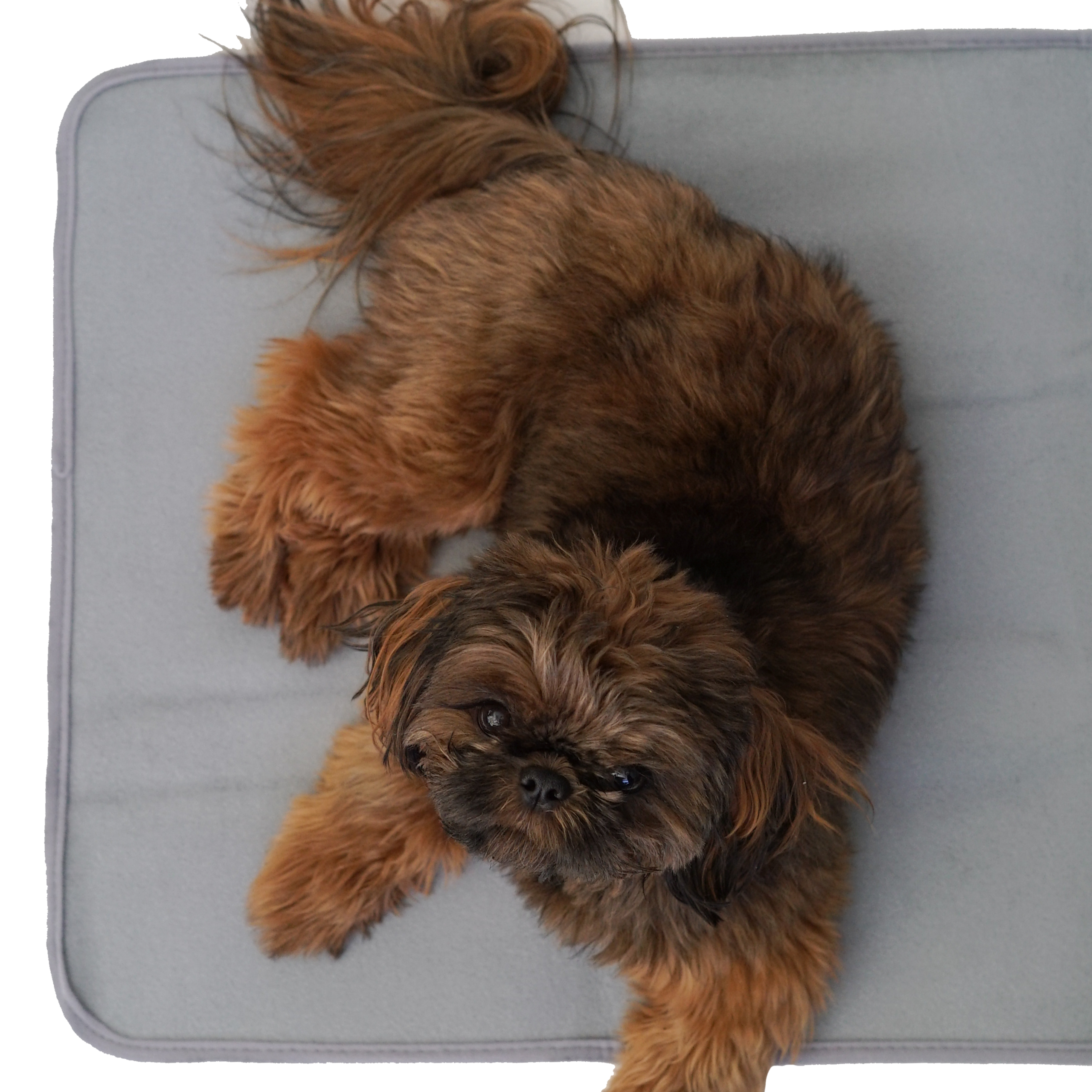 Thera-Pawz Warming Pad - Image 3