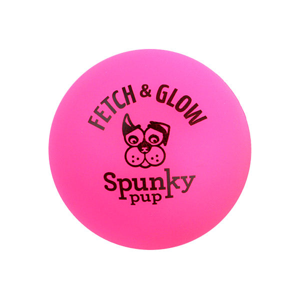 Spunky Pup Small Fetch & Glow Ball - 2 pk
