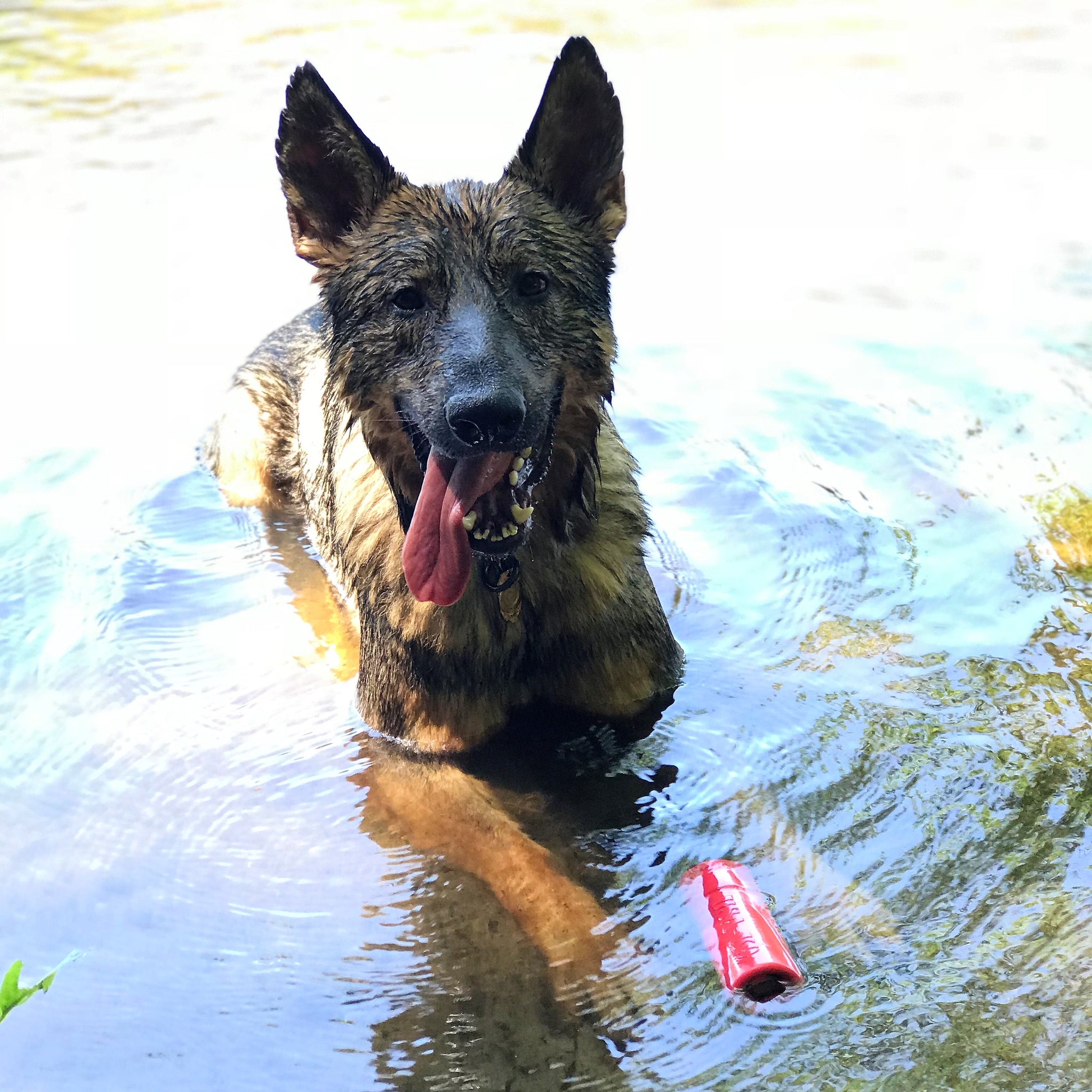 SodaPup USA-K9 Firecracker Floating Training Dummy | K9 Handler Reward Toy Red USA Made