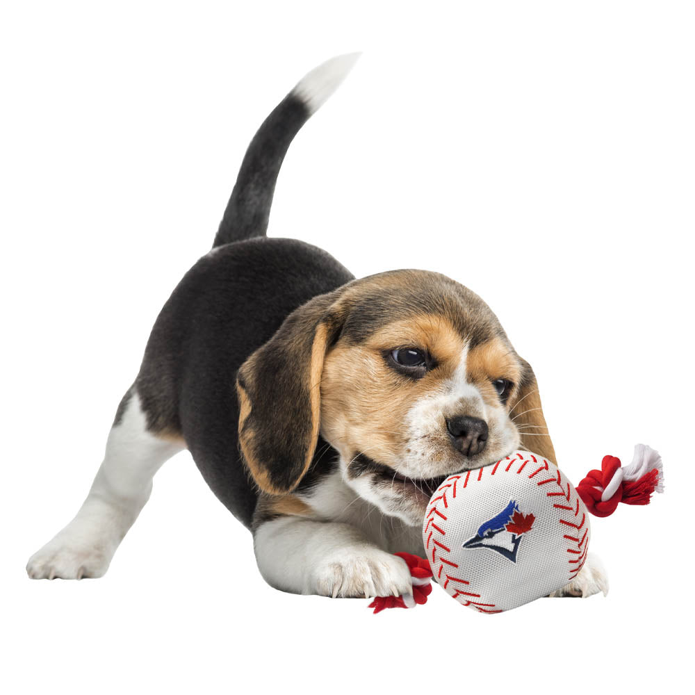 Toronto Blue Jays Baseball Toys - Image 2