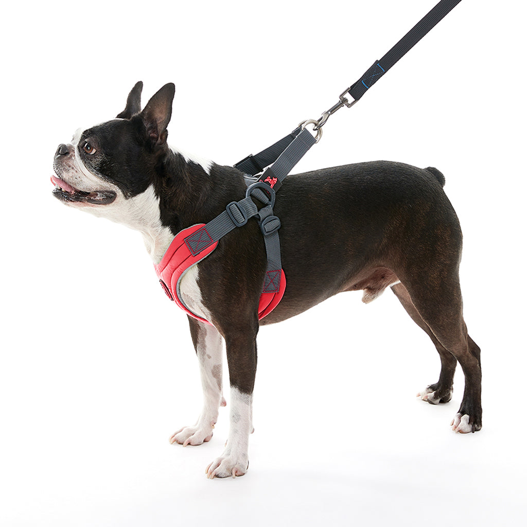 Escape Free® Memory Foam Harness (#04511) - Image 7