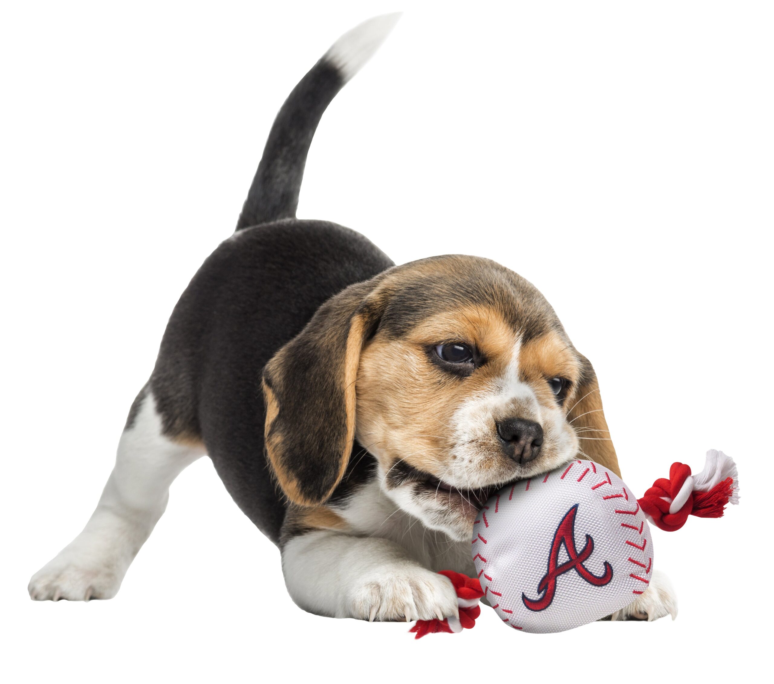Atlanta Braves Baseball Toy - Nylon w/rope