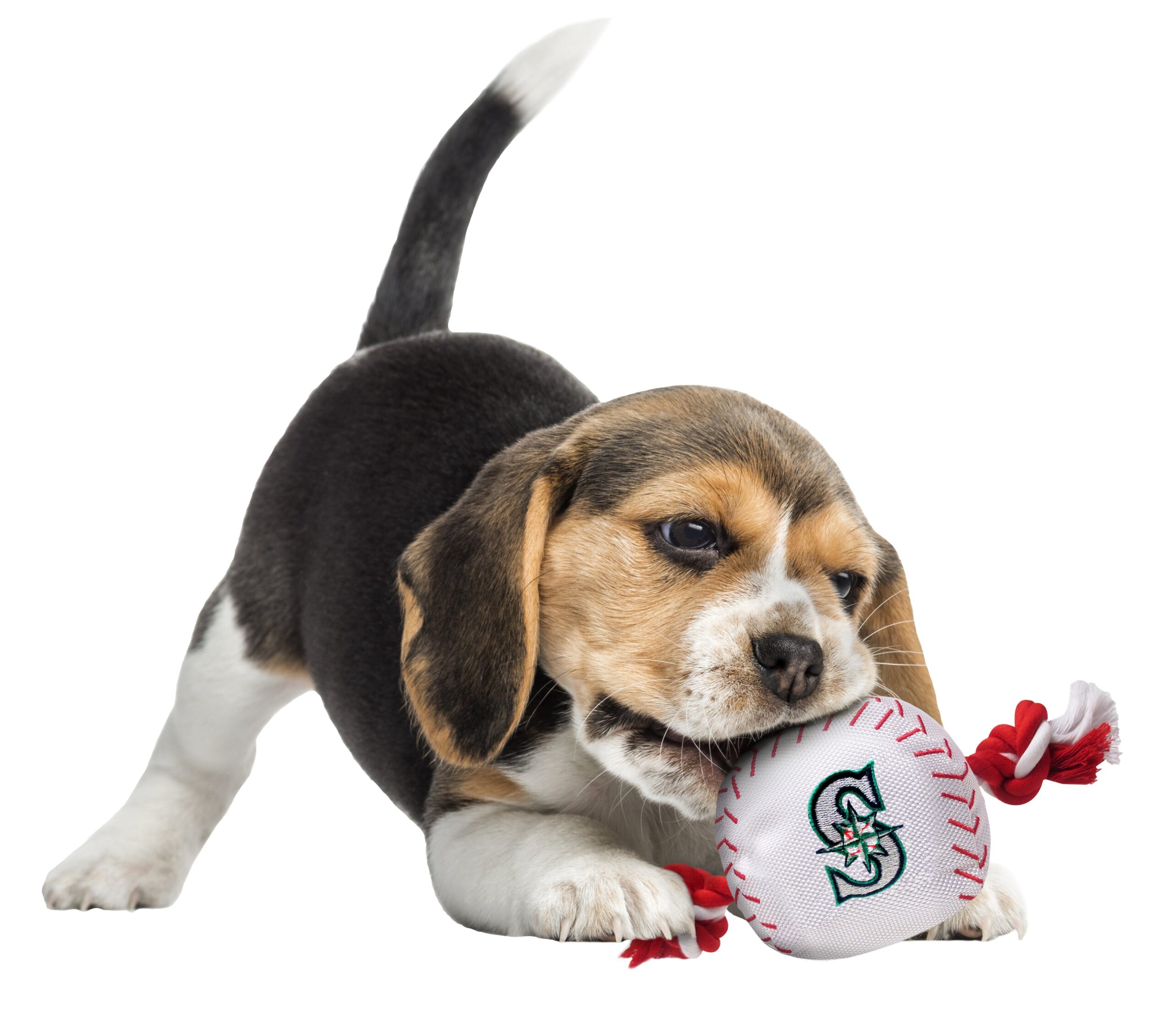 Seattle Mariners Baseball