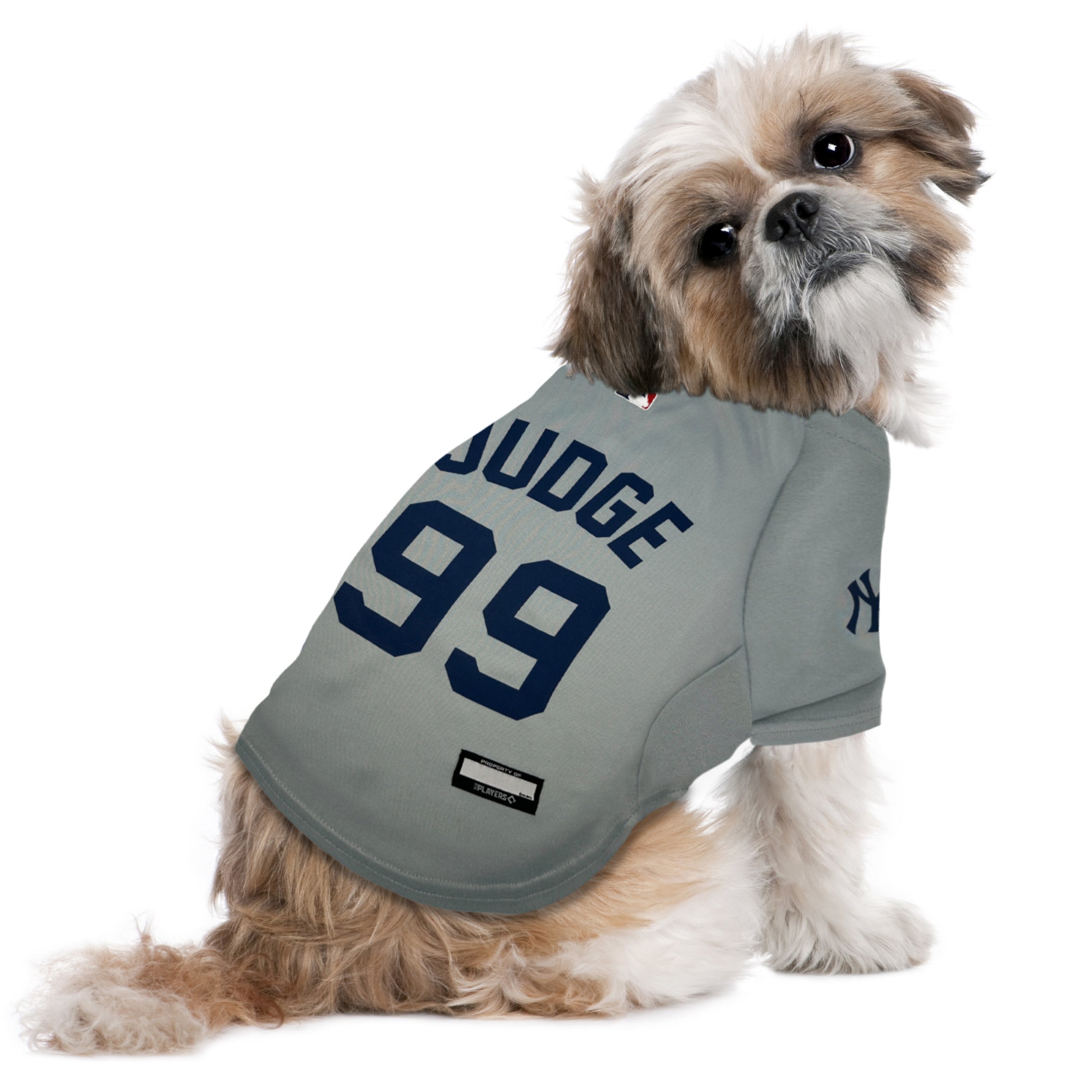 Aaron Judge Jersey - Image 3