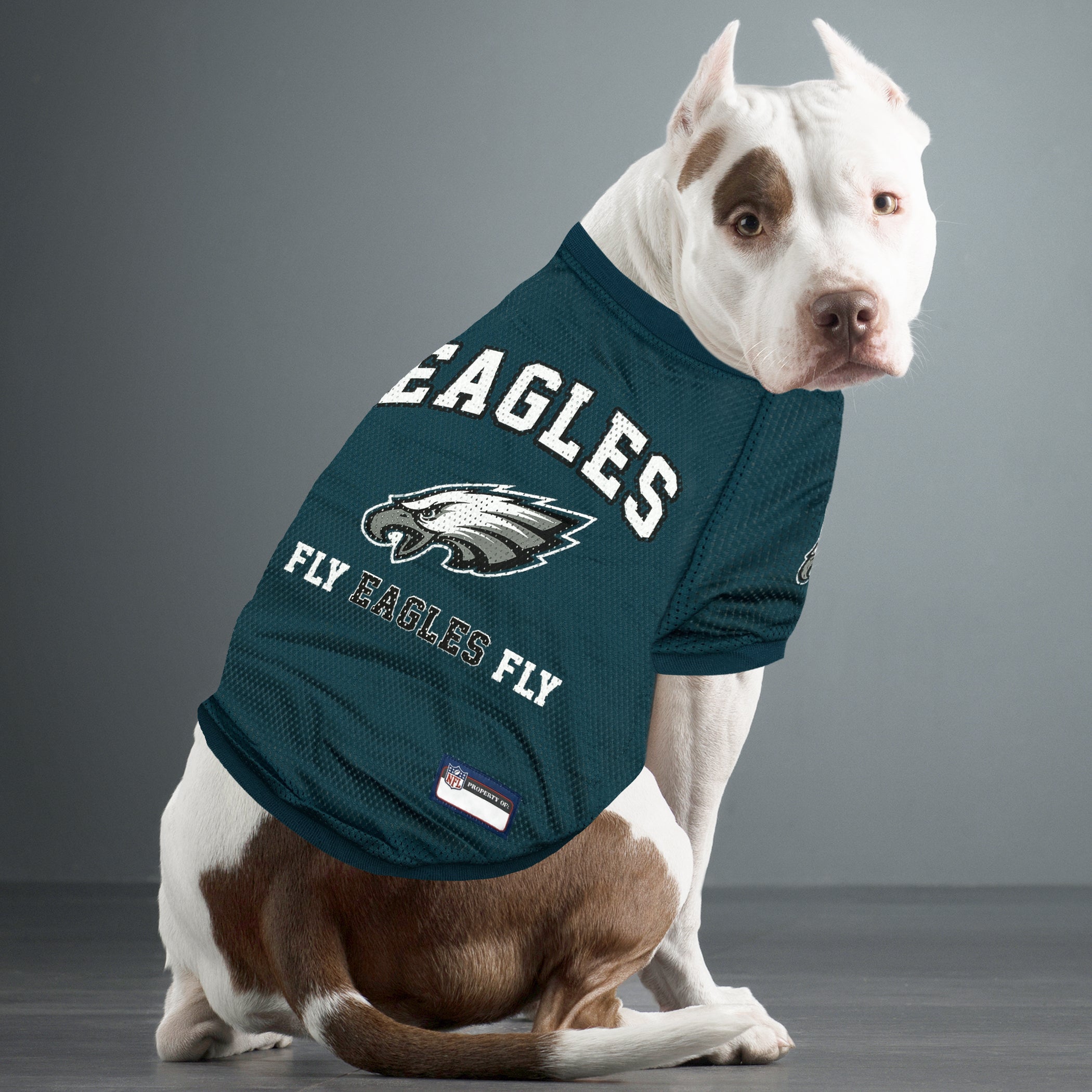 NFL Philadelphia Eagles - Fly Eagles Fly Dog Jersey - Image 3