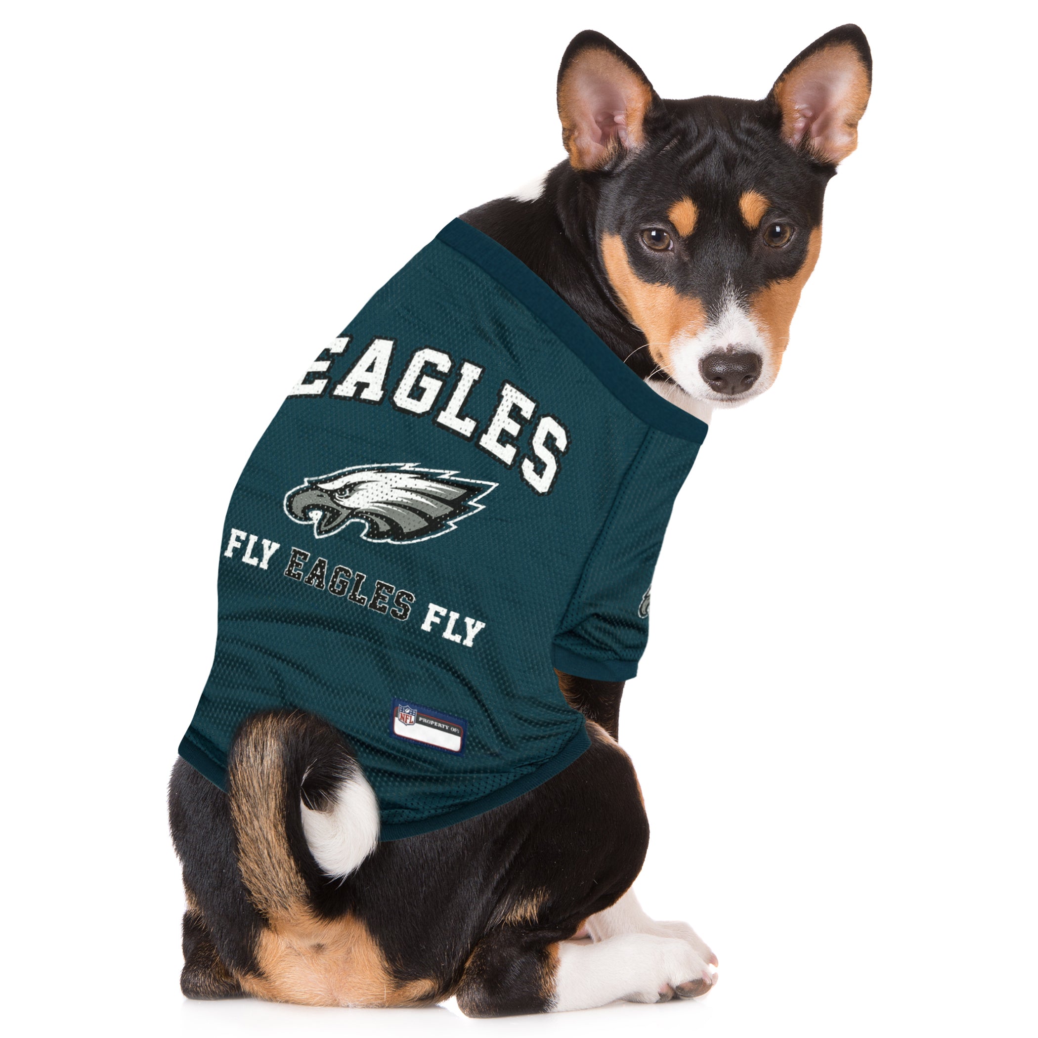 NFL Philadelphia Eagles - Fly Eagles Fly Dog Jersey - Image 4