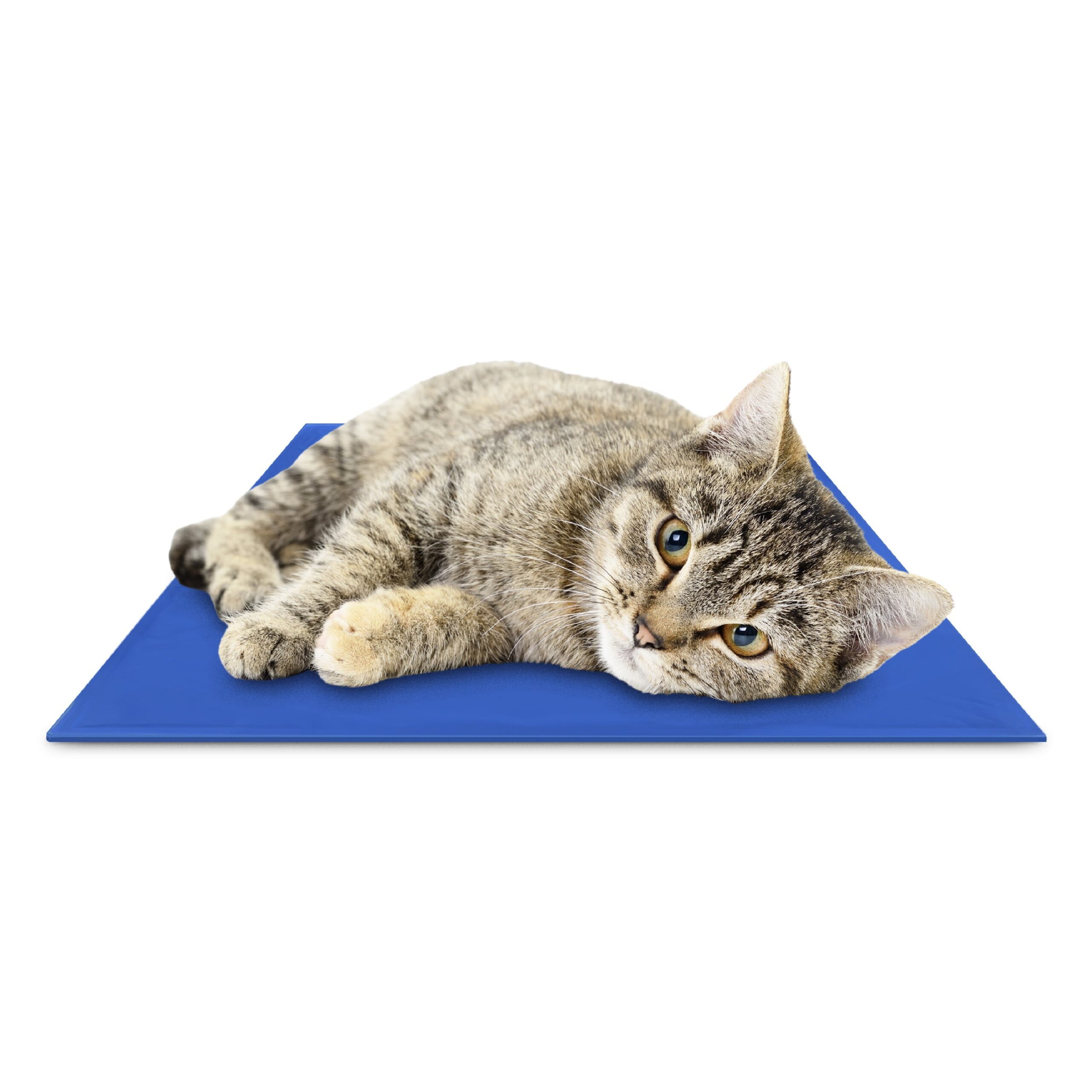 Chillz Gel Mat - Image 5