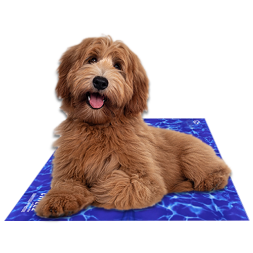 Chillz Gel Mat - Image 4