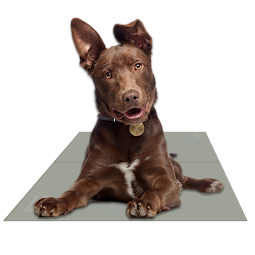 Chillz Gel Mat - Image 6
