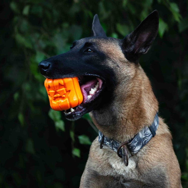 SodaPup Jack O' Lantern Dog Toy Durable Halloween Chew Large Dogs | USA Made