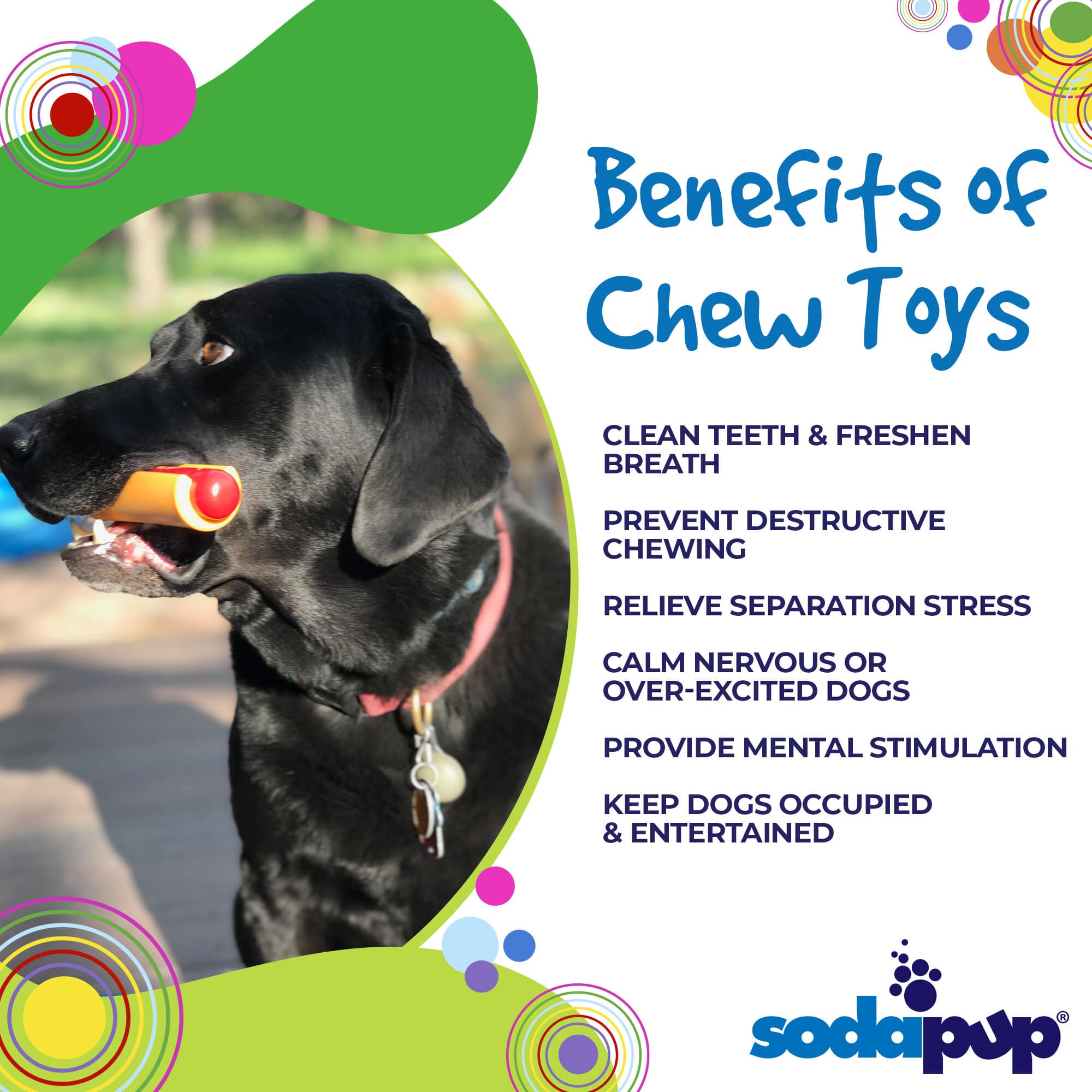 SodaPup Hot Dog Nylon Toy Aggressive Chewers | USA Made
