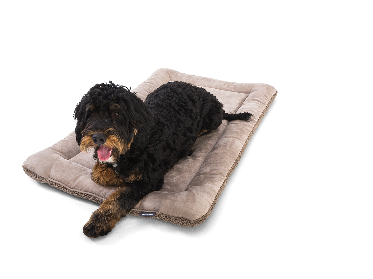 Big Sky Nap® Bed - Image 2