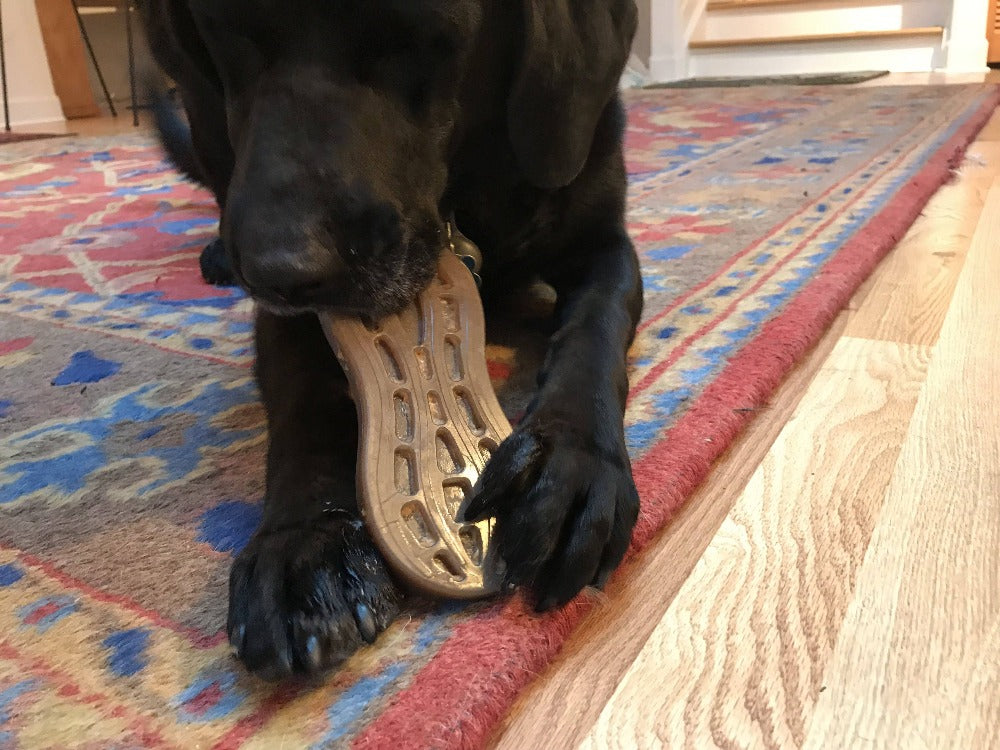 SodaPup Peanut Nylon Dog Chew Toy | Ultra-Durable Aggressive Chewers