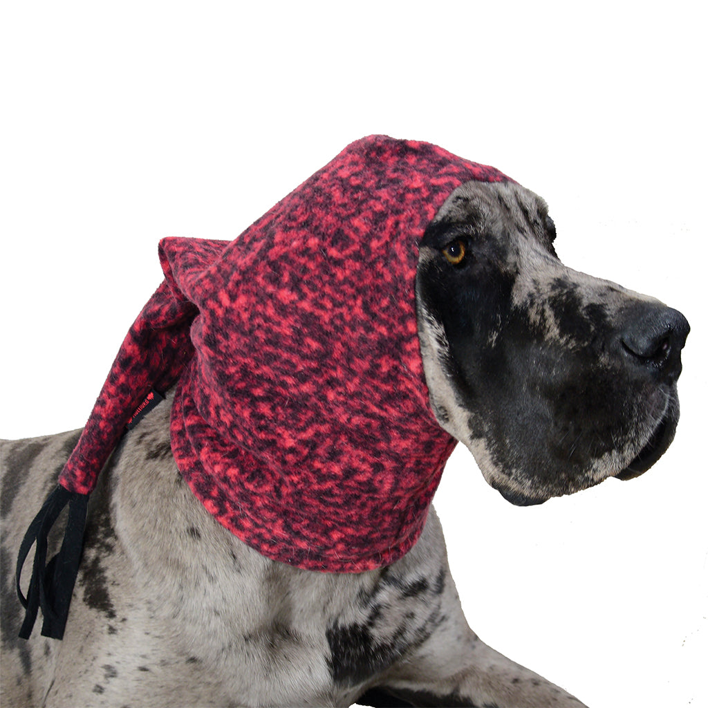 MuTTuque - Image 12