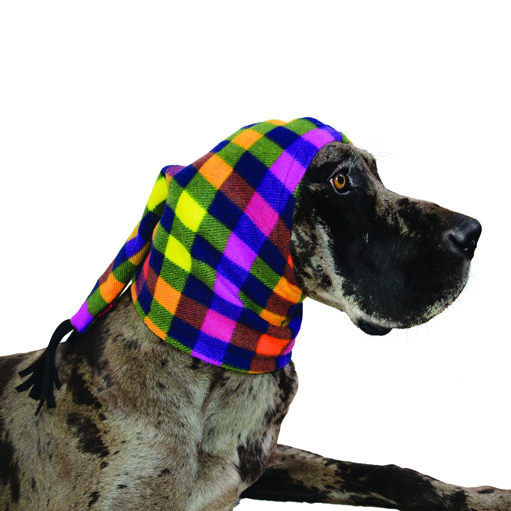 MuTTuque - Image 13