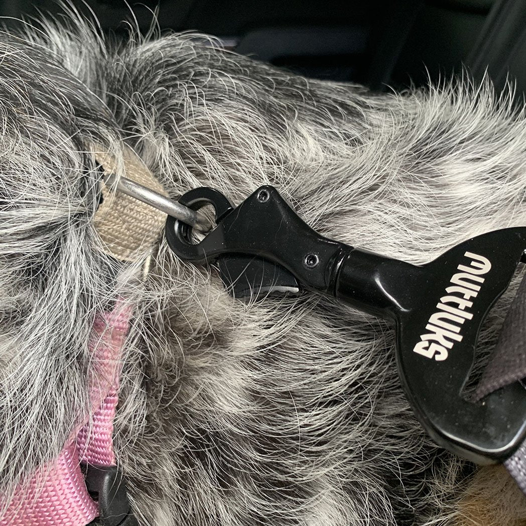 MuTTravel Seat Belt Clip - Image 2