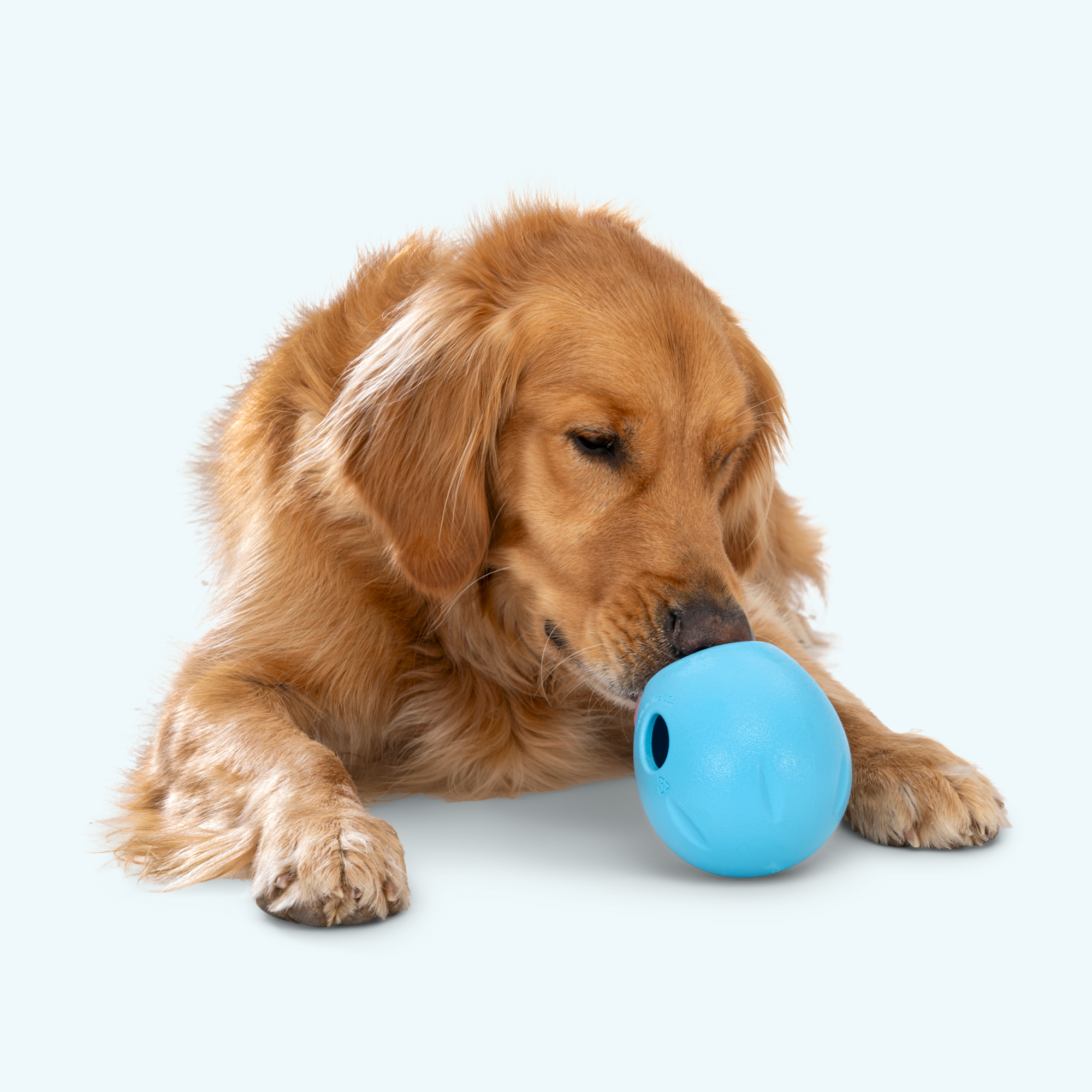 Zogoflex Echo Rumbl® - Image 12