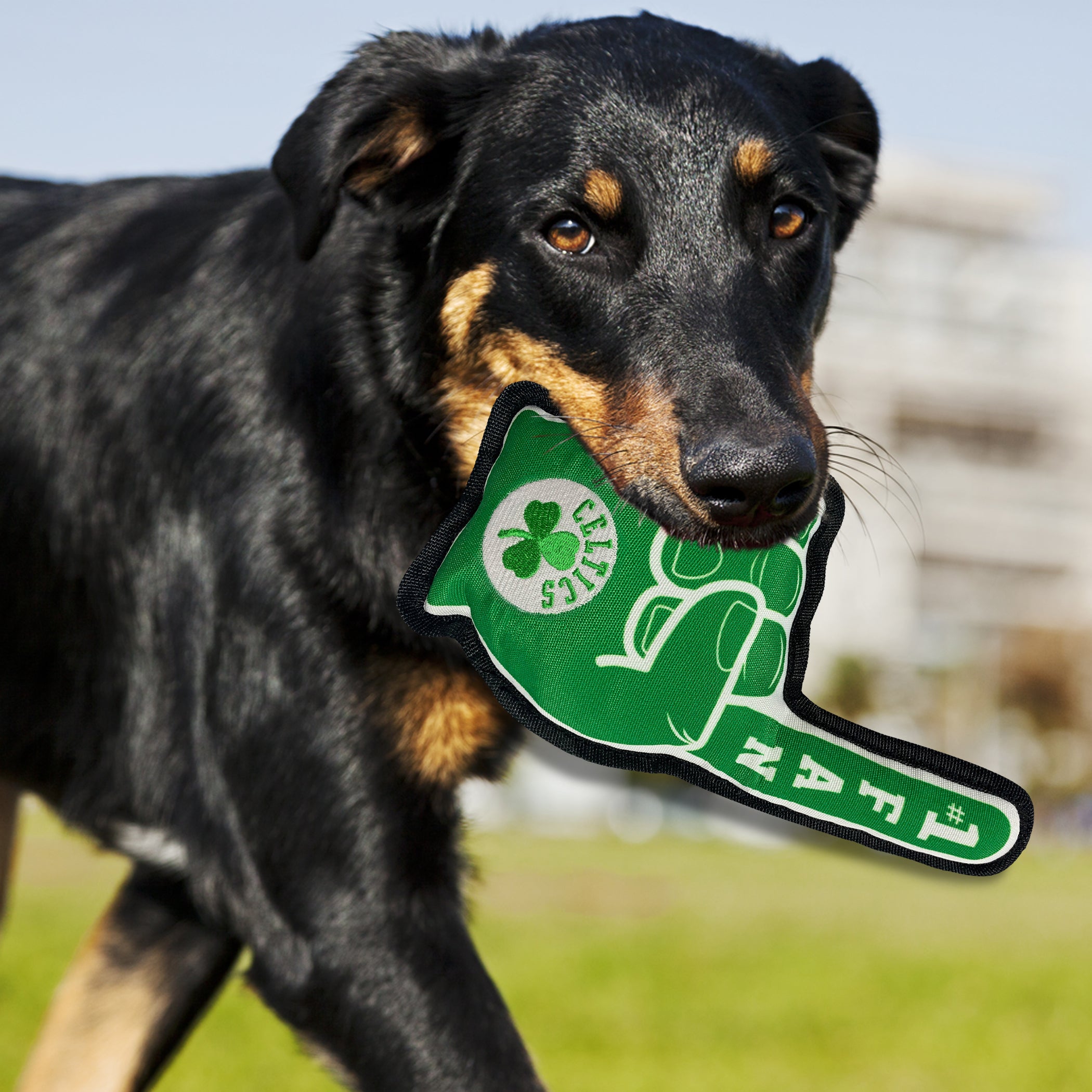 Boston Celtics #1 Fan Pet Toy by Pets First