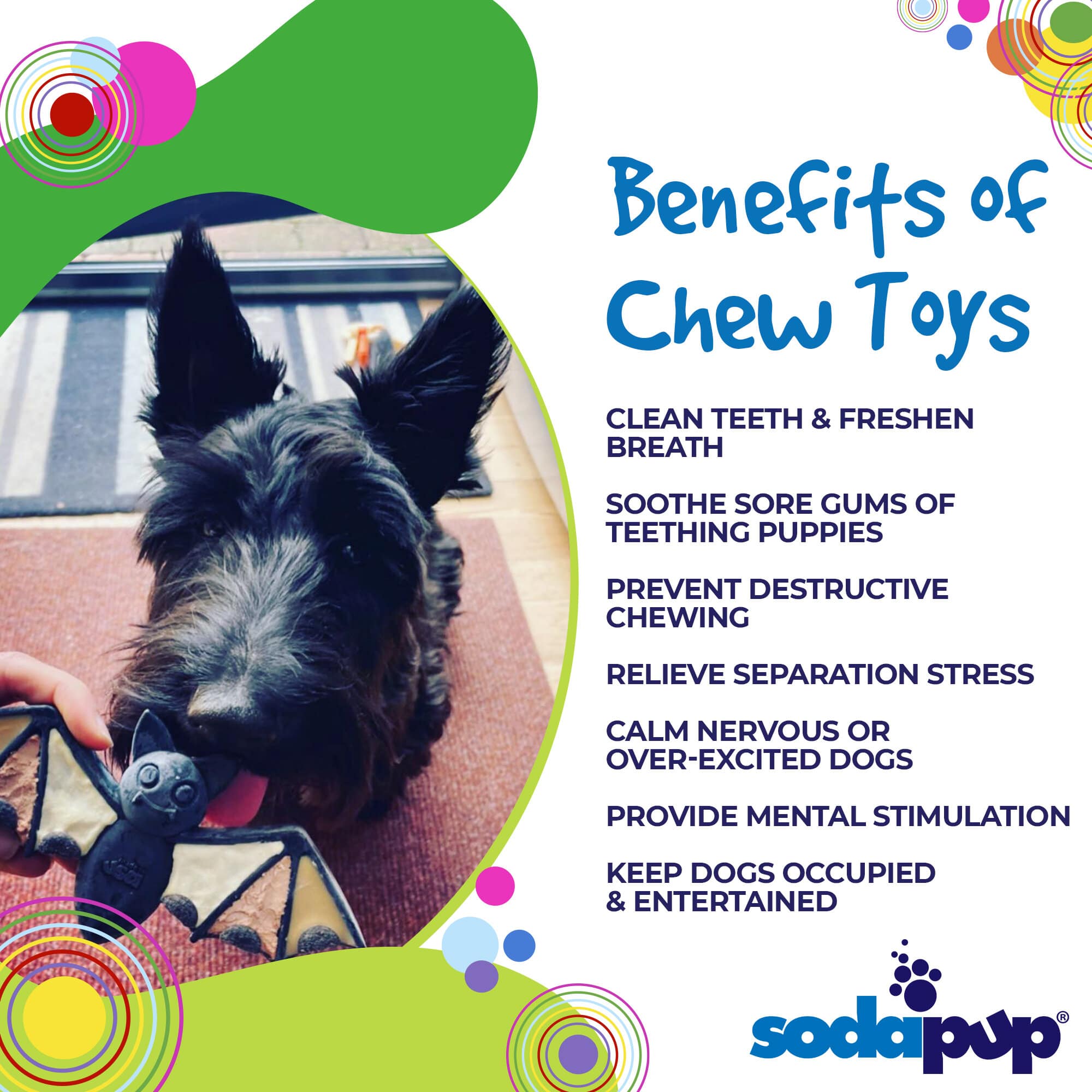 SodaPup Vampire Bat Nylon Dog Chew Toy Aggressive Chewers | USA Made & FDA Compliant