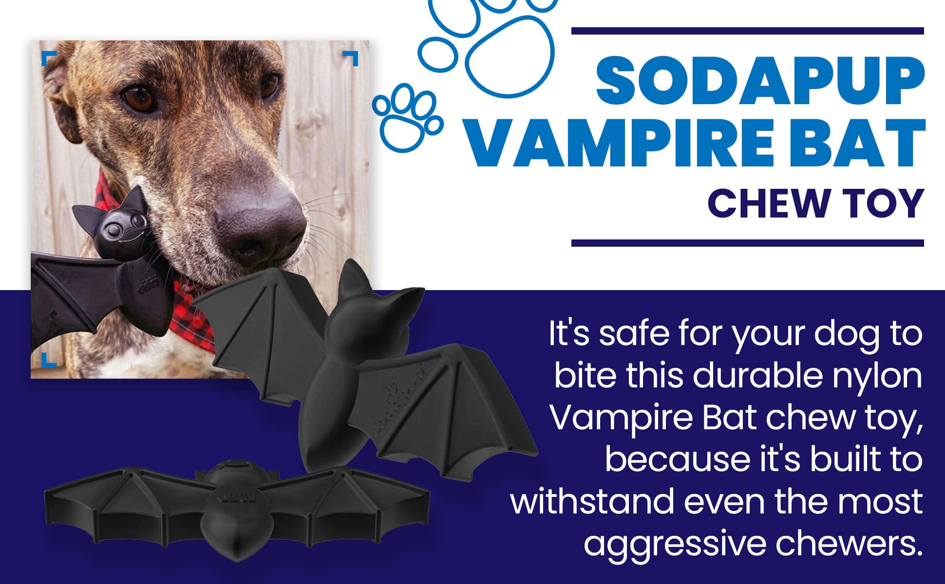 SodaPup Vampire Bat Nylon Dog Chew Toy Aggressive Chewers | USA Made & FDA Compliant
