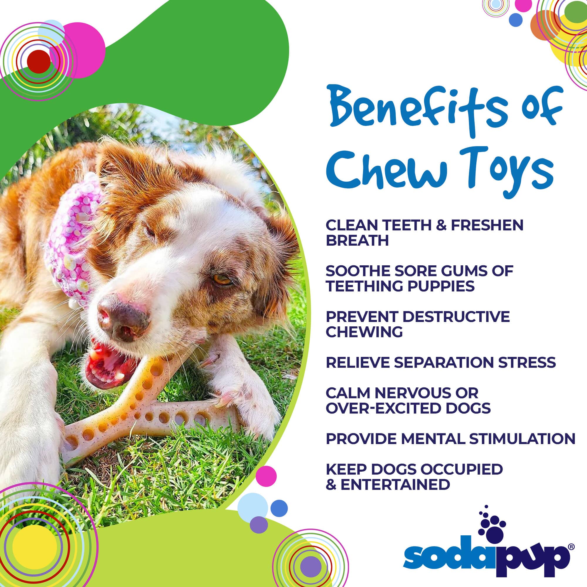 SodaPup MOD Wishbone Nylon Dog Chew Toy Aggressive Chewers | USA Made