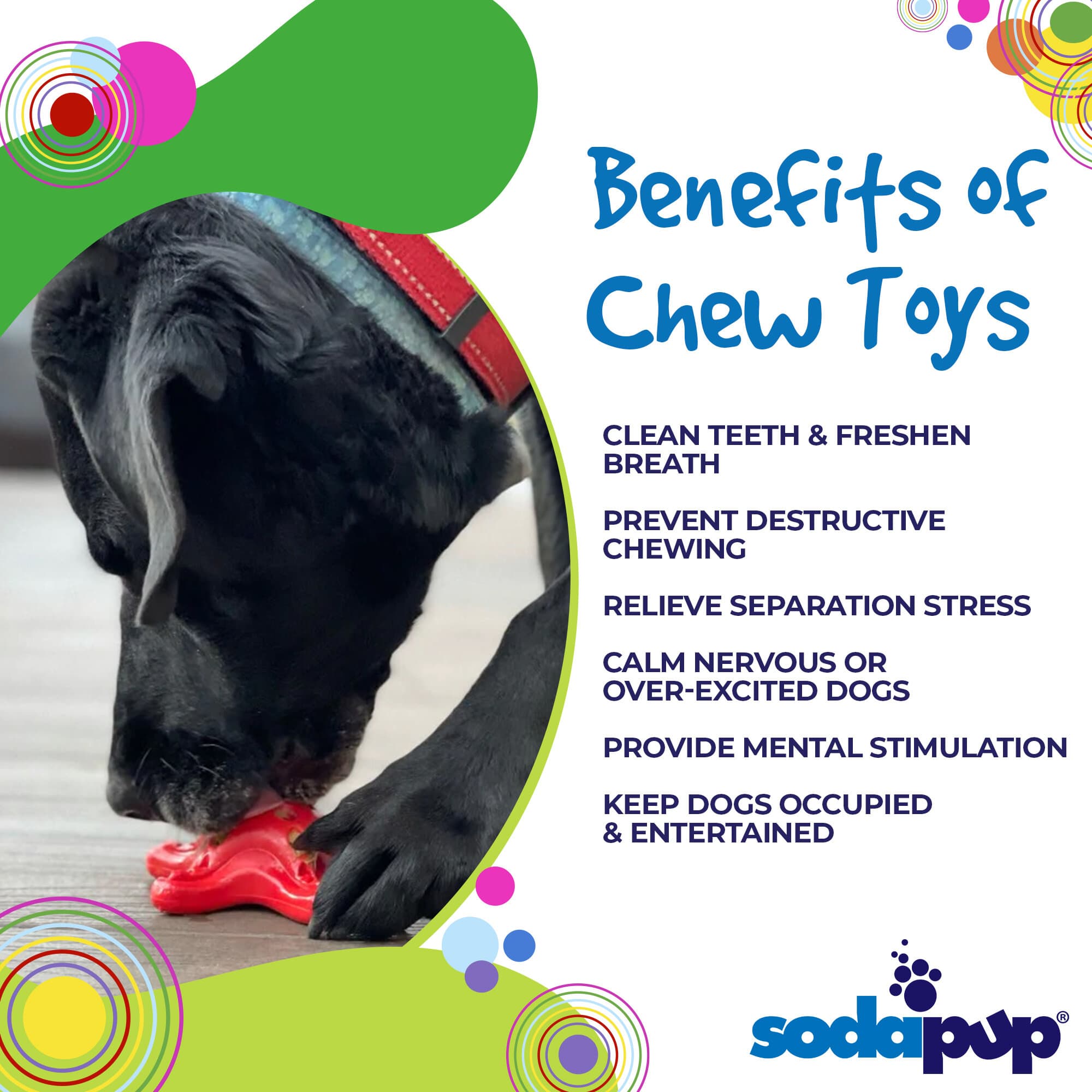 SodaPup Starfish Nylon Dog Chew Toy Aggressive Chewers | USA Made