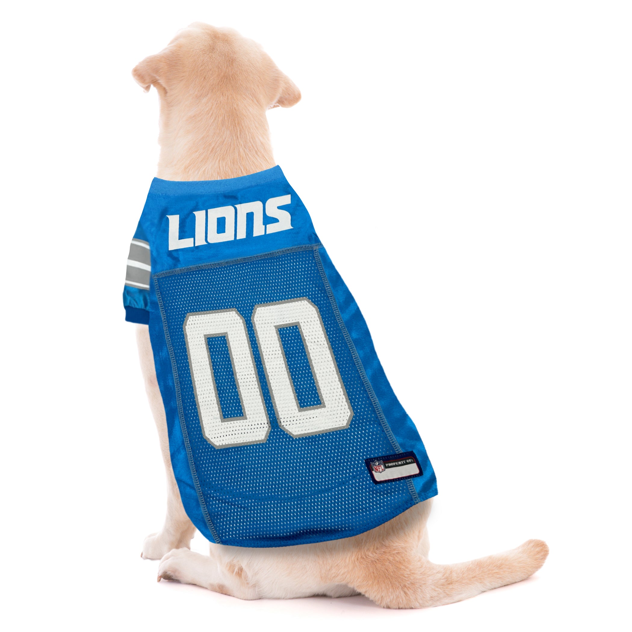Detroit Lions Pet Striped Jersey - Image 2