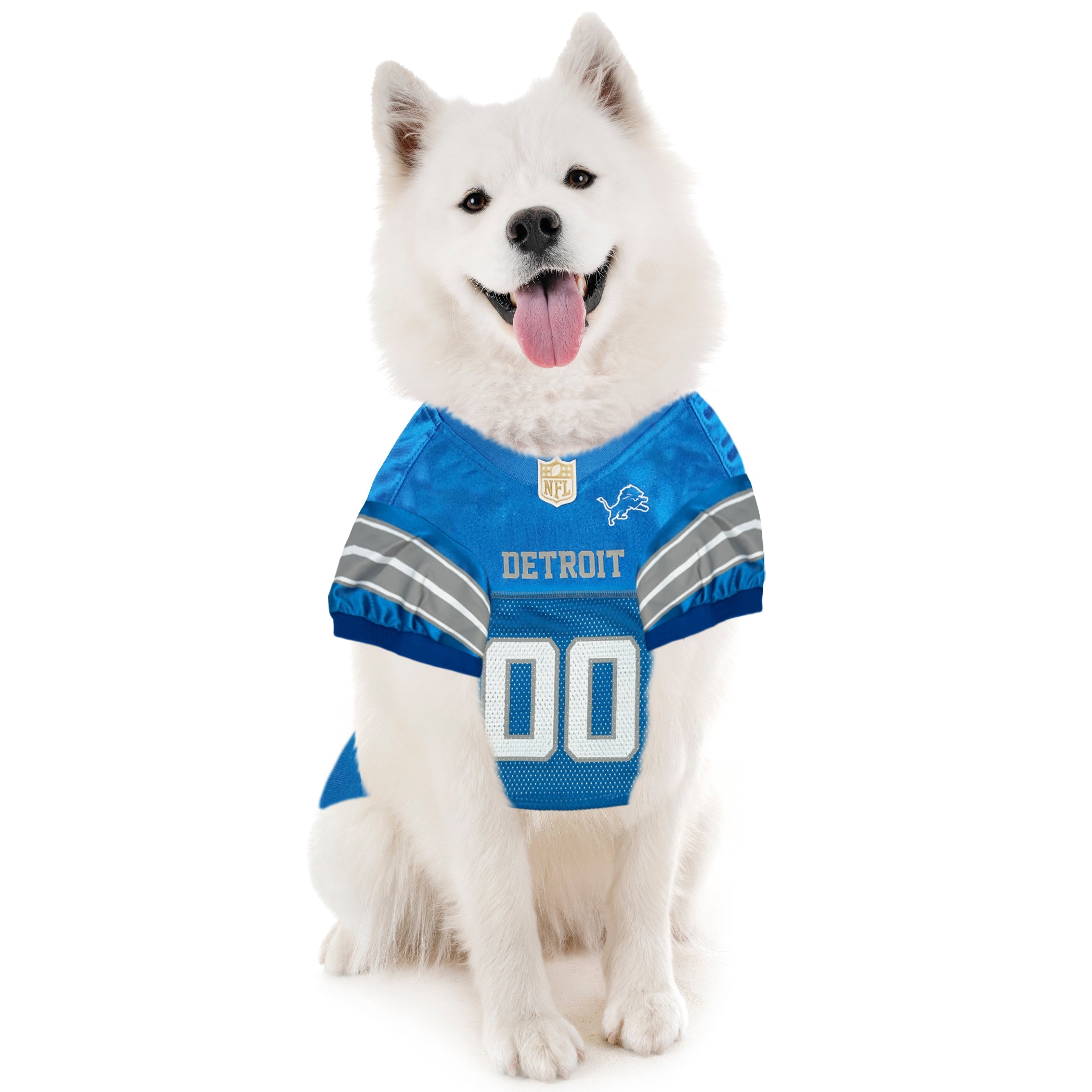 Detroit Lions Pet Striped Jersey - Image 3