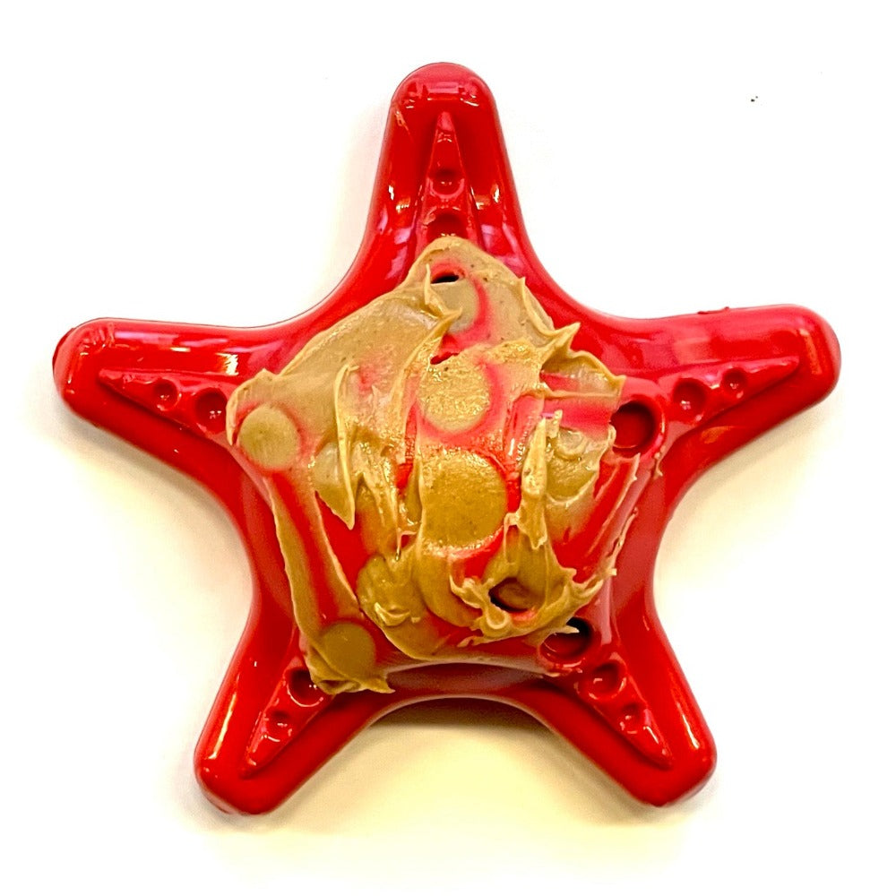 SodaPup Starfish Nylon Dog Chew Toy Aggressive Chewers | USA Made