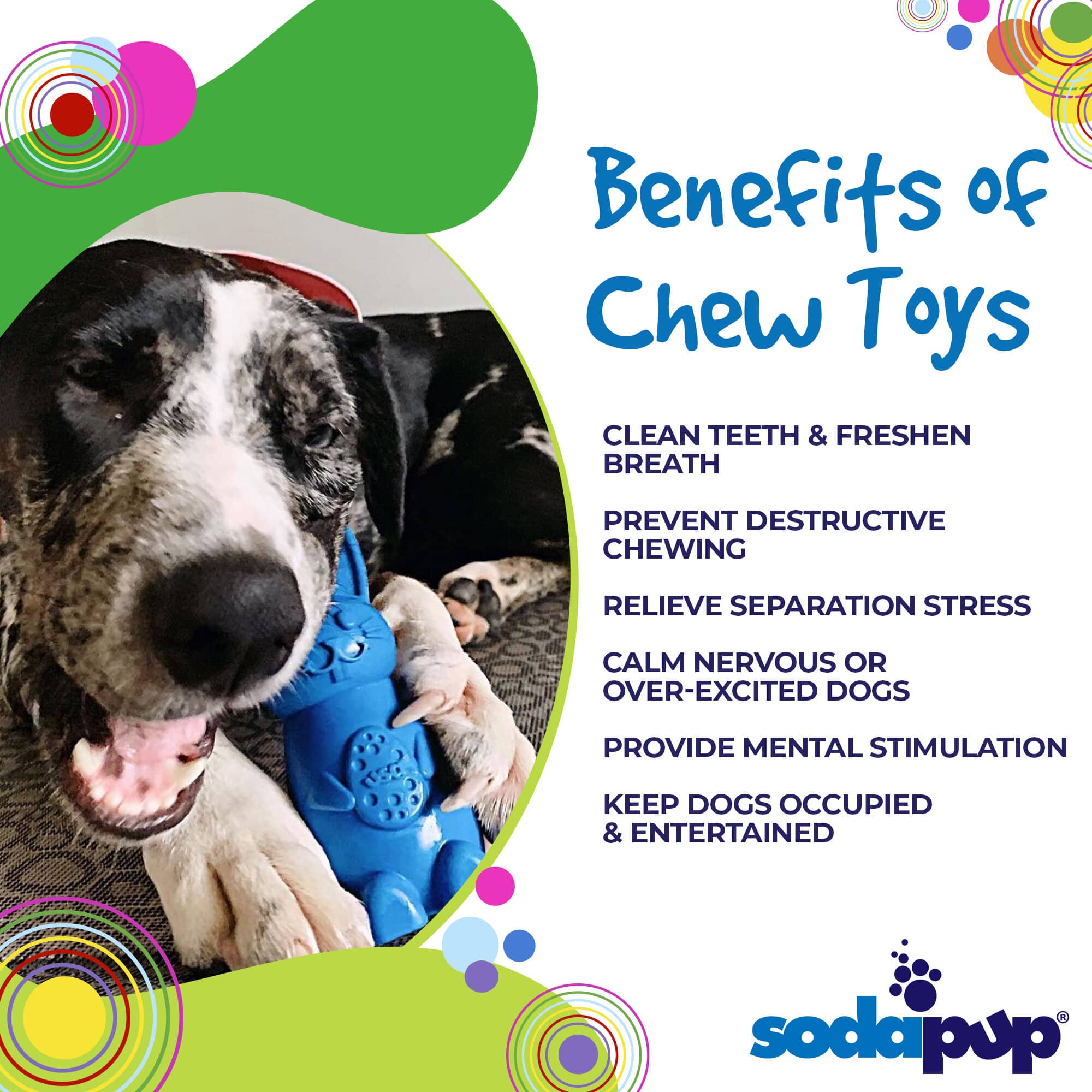 SodaPup Bunny Nylon Chew Toy Aggressive Chewers | Durable & USA Made