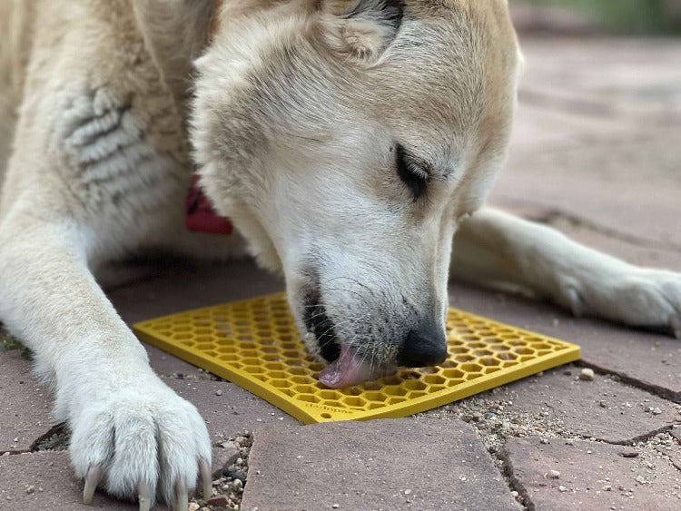 SodaPup Honeycomb eMat Enrichment Lick Mat Dogs Cats | Toy Anxiety Relief