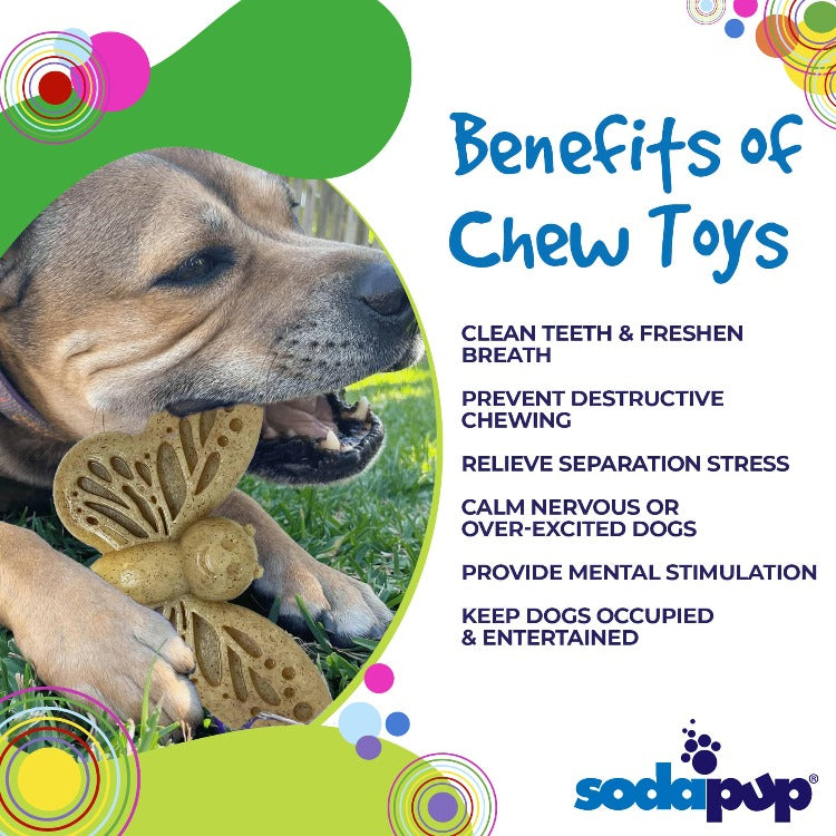 SodaPup Butterfly Nylon Chew & Enrichment Toy | 2-in-1 Aggressive Chewers