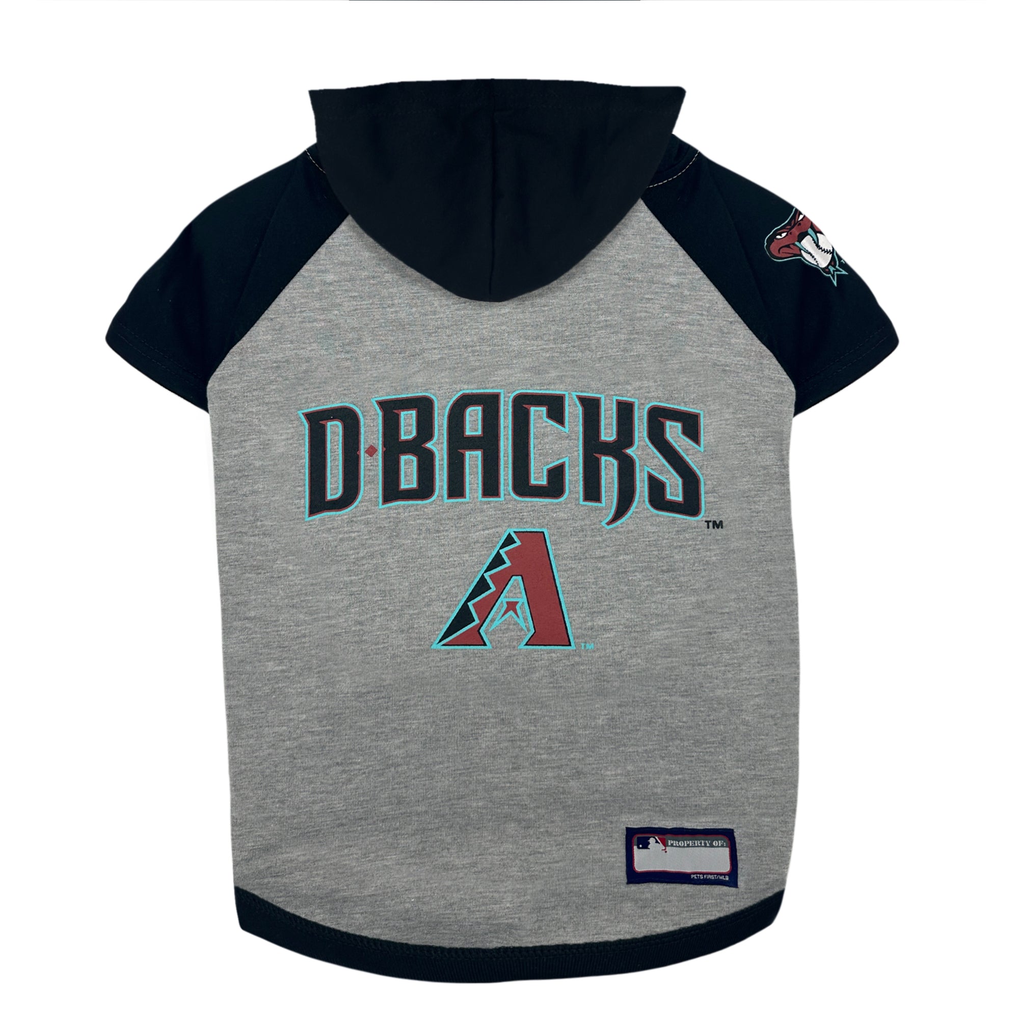 Arizona Diamondback Hoodie Tee Shirt