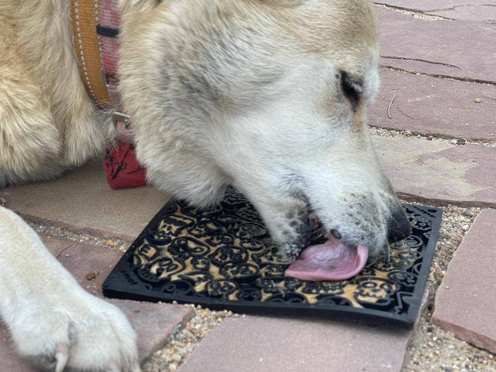 SodaPup Zombie eMat Enrichment Lick Mat Dogs Cats | Halloween Skull Design
