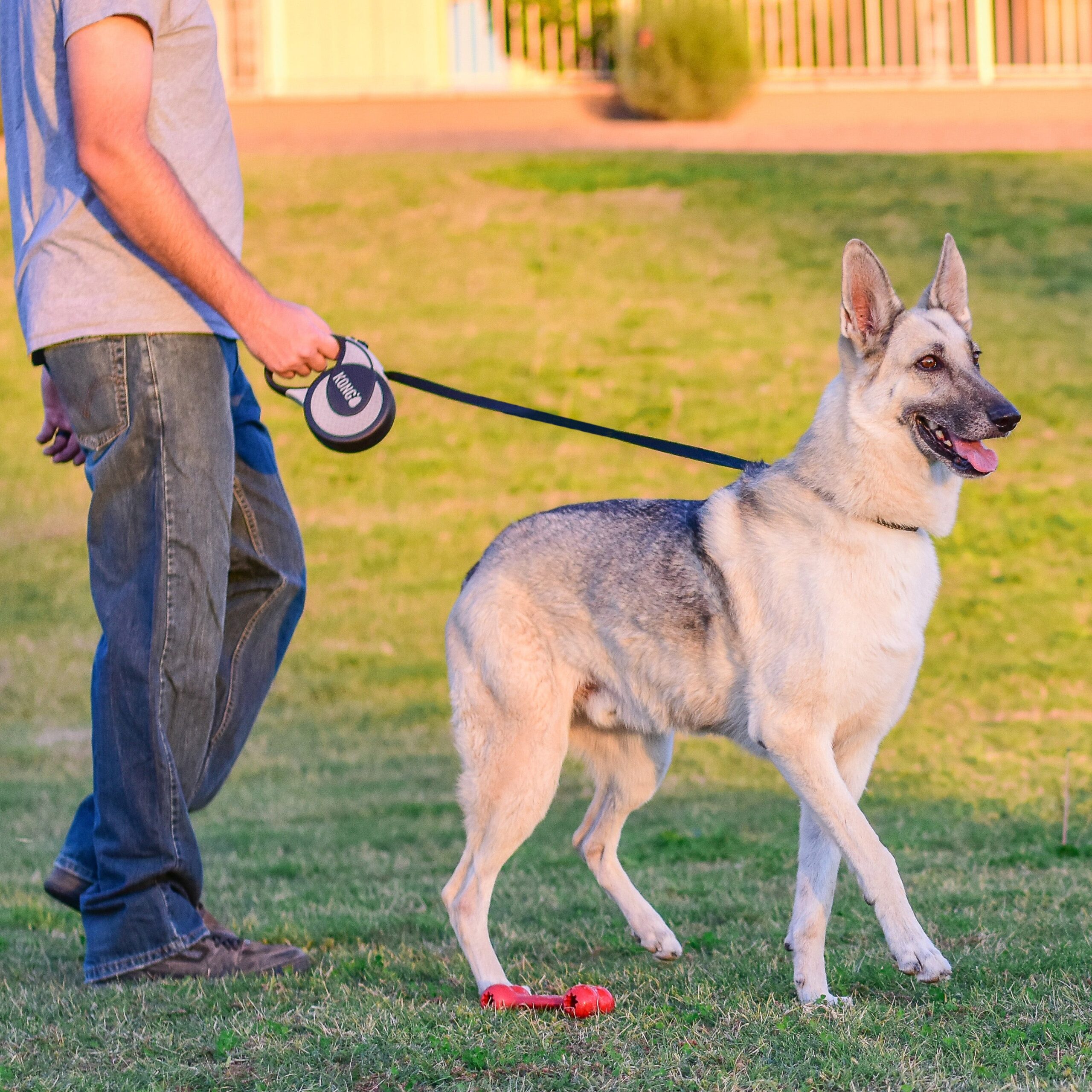 KONG Retractable Leash ULTIMATE Extra Large - 3 Colors - Image 5