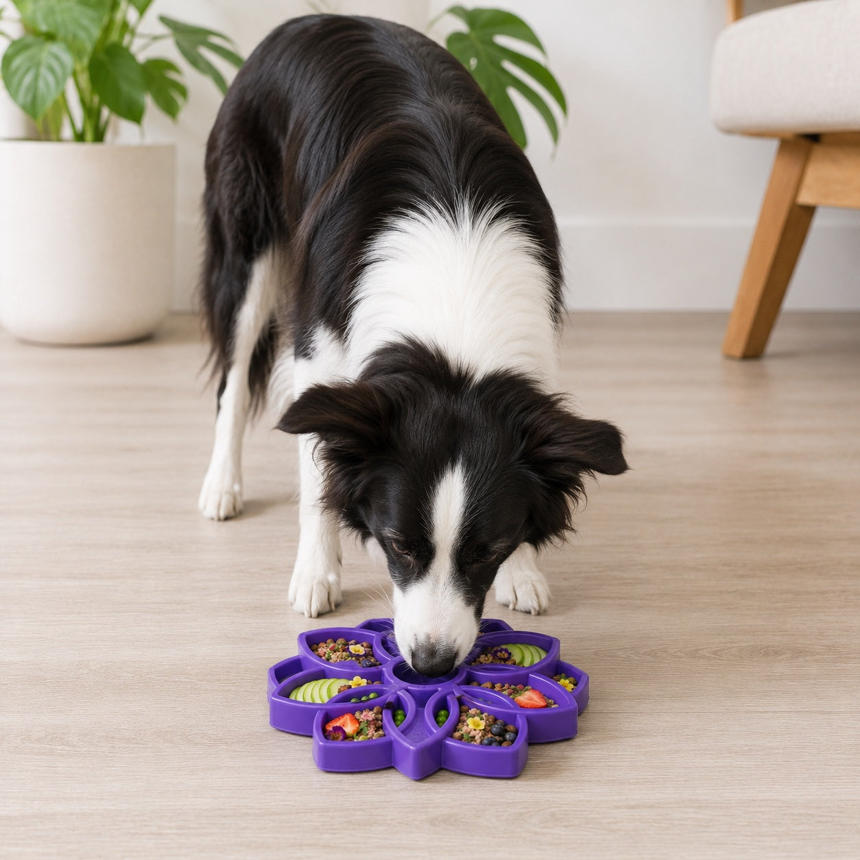 SodaPup Mandala eTray Shallow Slow Feeder Dog Bowl Enrichment | USA Made