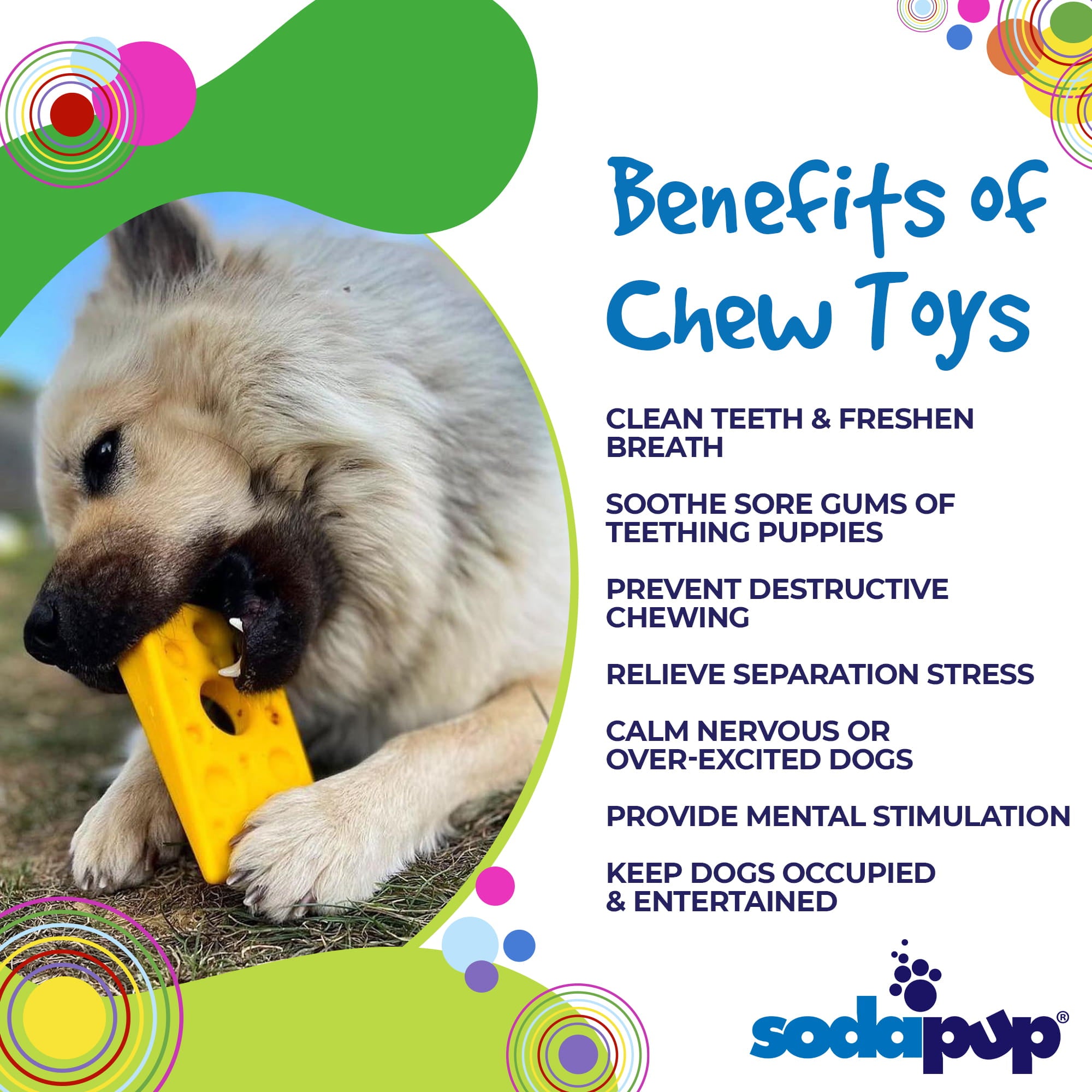 SodaPup Swiss Cheese Wedge Nylon Dog Chew Toy Aggressive Chewers |