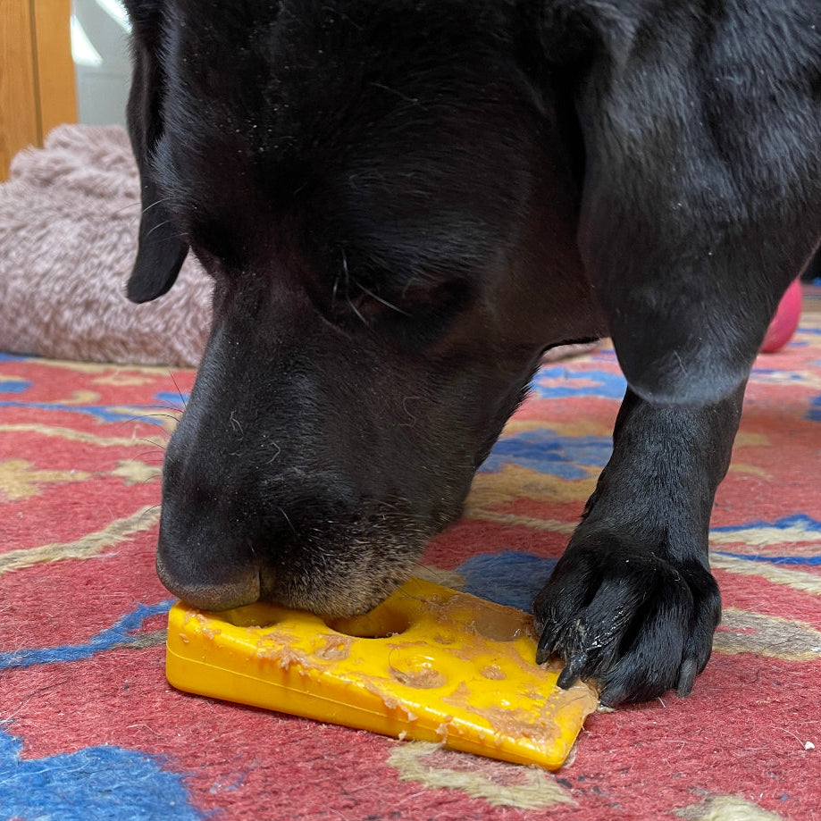SodaPup Swiss Cheese Wedge Nylon Dog Chew Toy Aggressive Chewers |