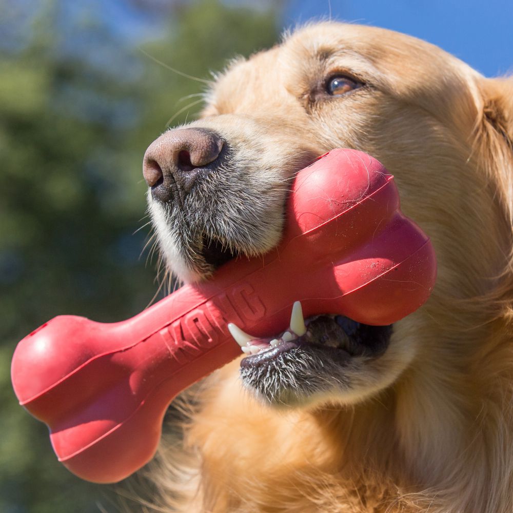 KONG Goodie Bone - Image 5
