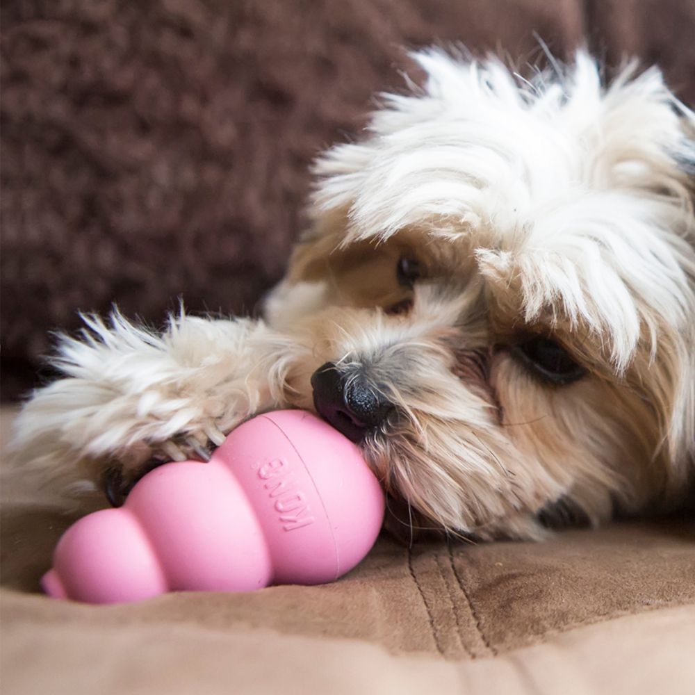 KONG® Puppy - Image 5